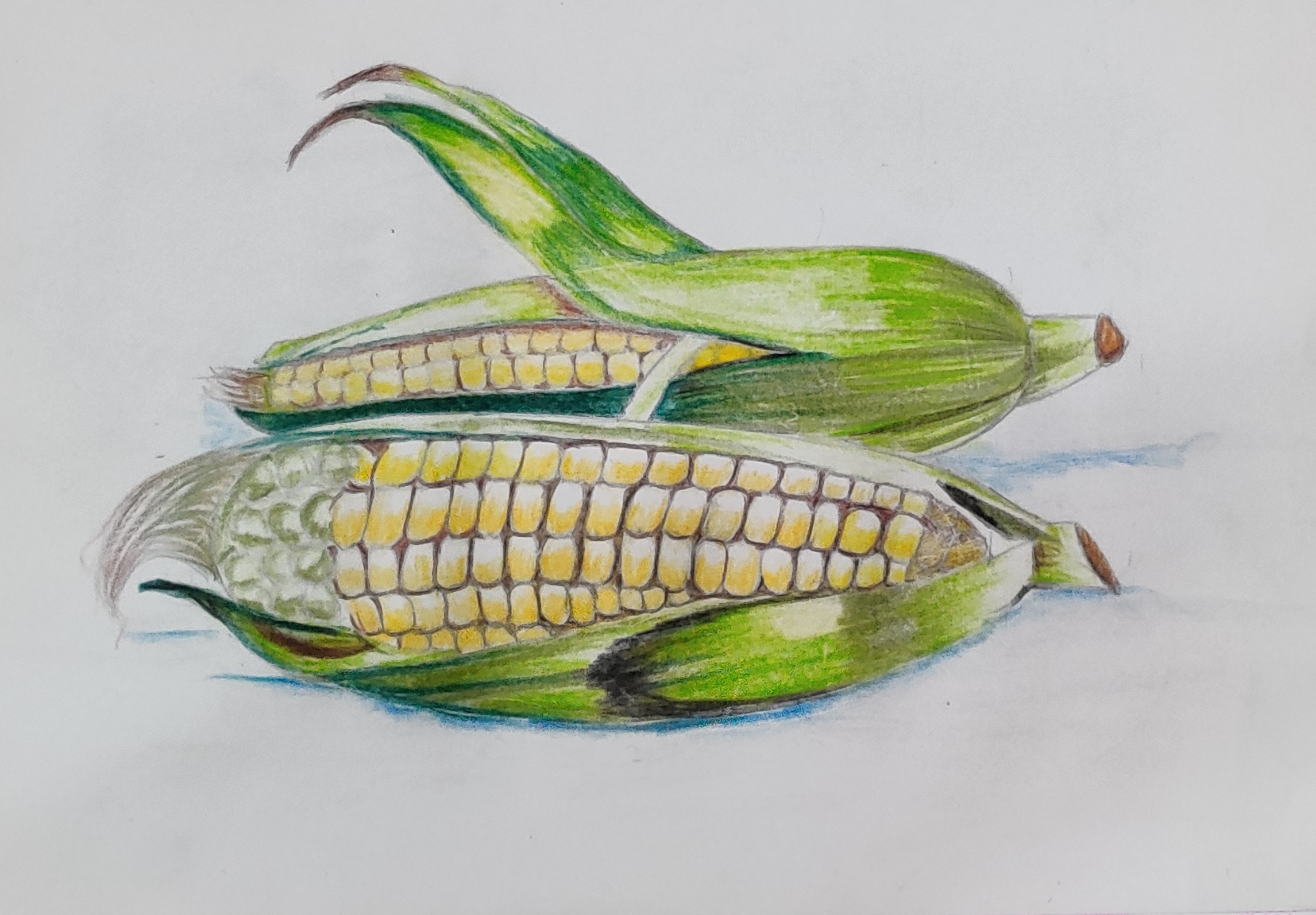 Kids color pencil shading drawing