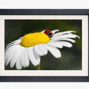 A4 Framed Artwork (Ready to Hang)